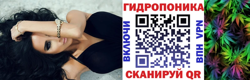 Виды наркоты Вязники АМФЕТАМИН  Конопля  БУТИРАТ  Меф мяу мяу  ГАШИШ  КОКАИН  Галлюциногенные грибы 
