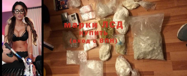 сатива Волосово