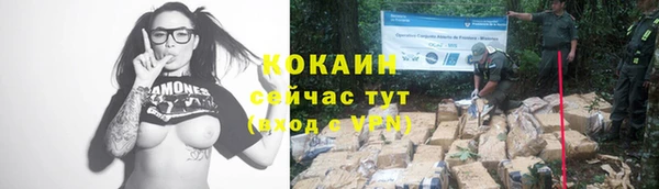 тгк Горнозаводск