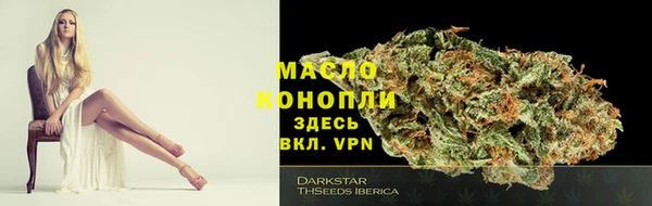 тгк Горнозаводск