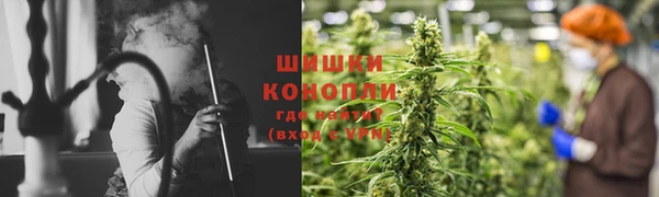 сатива Волосово
