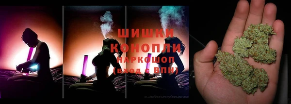 спиды Горняк