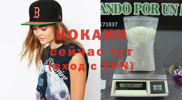 спиды Горняк