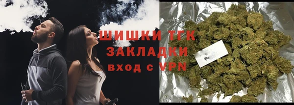 тгк Горнозаводск