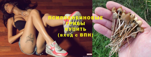 сатива Волосово