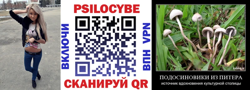 Псилоцибиновые грибы мухоморы  Вязники 