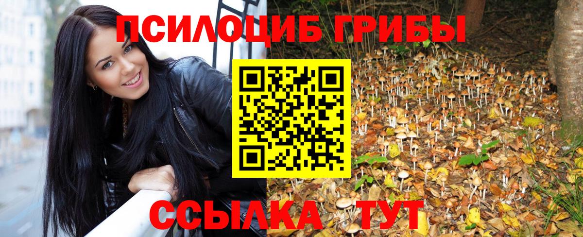 Галлюциногенные грибы Psilocybine cubensis Вязники