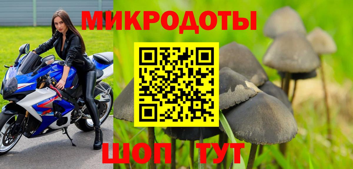 Галлюциногенные грибы прущие грибы Вязники