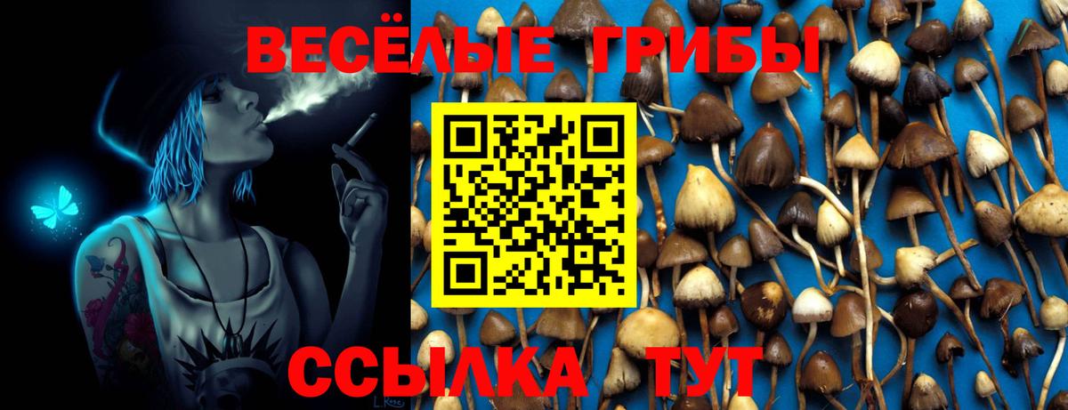 Марихуана  МЕФ   Меф   МДМА  А ПВП СОЛЬ   ГАШ  Вязники  КОКАИН 