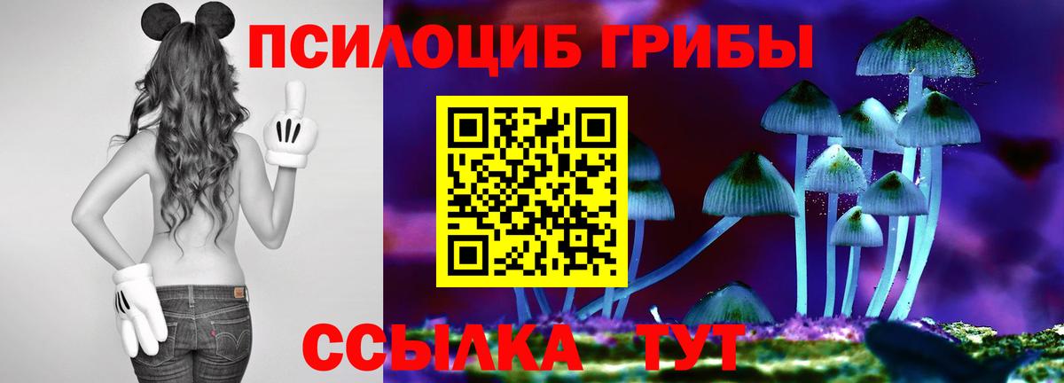 Псилоцибиновые грибы мухоморы  Галлюциногенные грибы прущие грибы  даркнет сайт  Вход с VPN  Вязники 